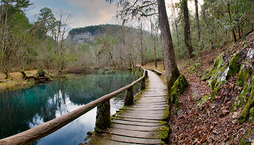 Blanchard Springs Trail